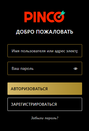 Вход в Pinco